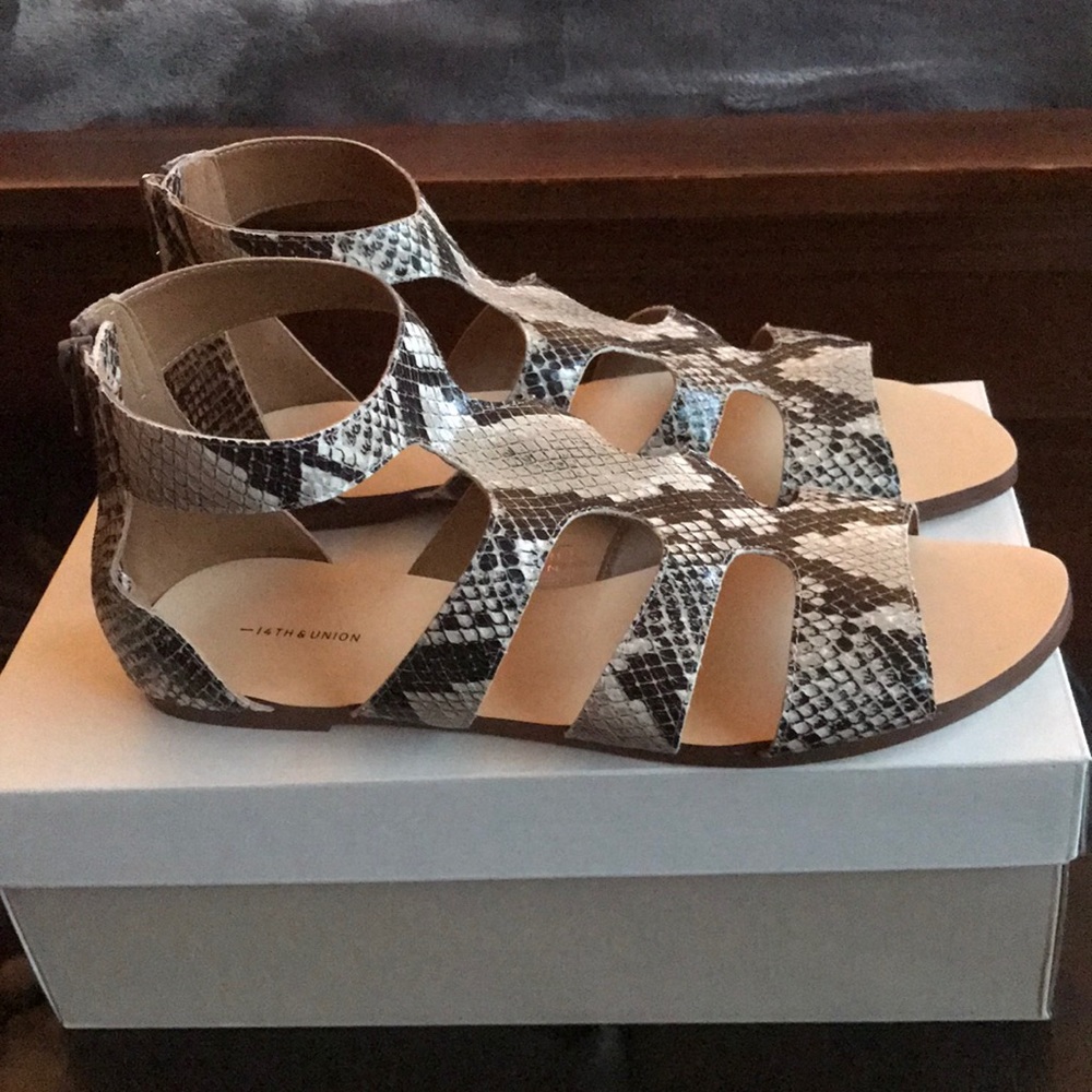 14th & Union Codie Gladiator sandals - Brown